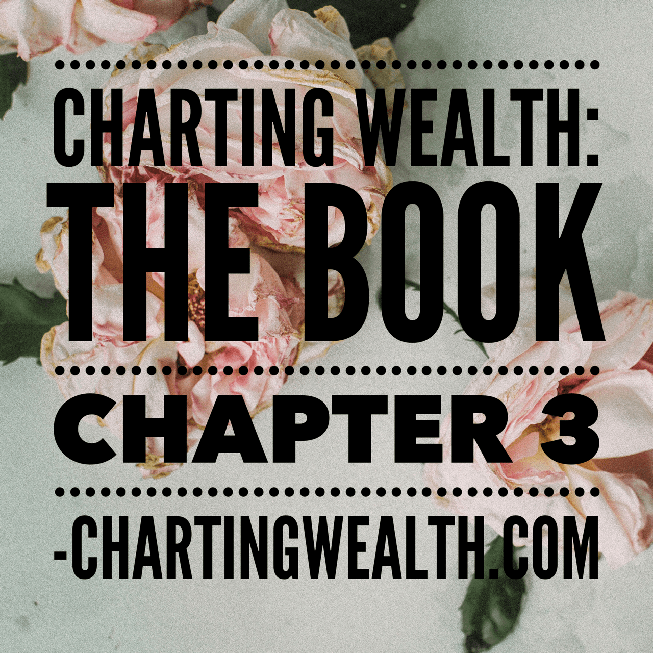 Charting Wealth Book